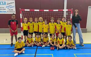 -9 MIXTE (2019, 2018 et 2017)