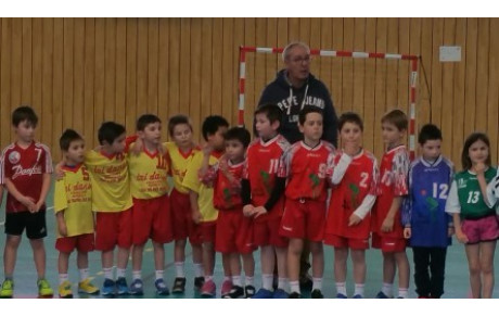 Plateaux Mini-hand à Montluel 