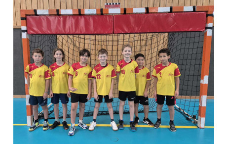 -11 MIXTE (2017, 2016 et 2015)